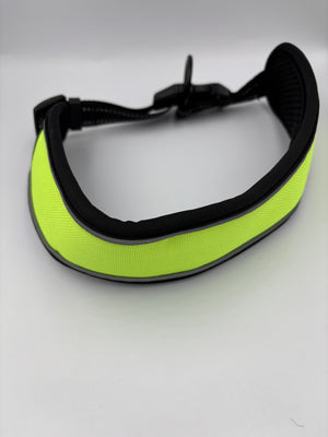 Κολάρο για μεγάλους σκύλους